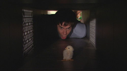 iHatch Chicks