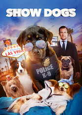 Show Dogs