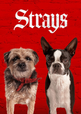 Strays